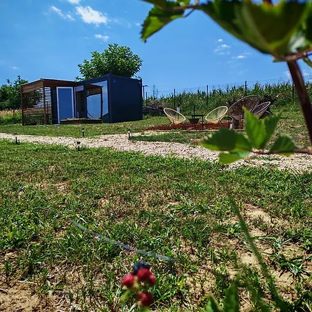 Od Svitanja Do Sumraka * 골루바츠